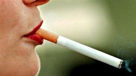 rezeptoren steuern rauch verhalten forscher finden rauchergen