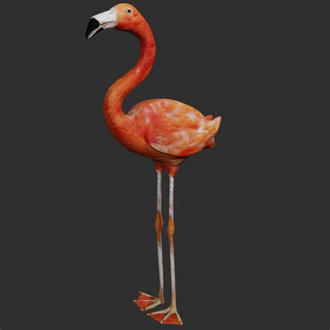 Flamingo 3d Model Rigged And Low Poly Game Ready