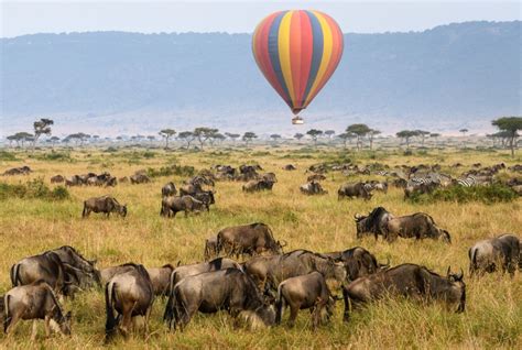 Masai Mara Balloon Safari Hot Air Balloon Masai Mara Lenchada Safaris