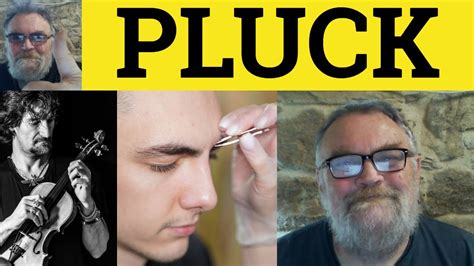 🔵 Pluck Meaning Pluck Examples Plucky Defined Pluck Up Courage Pluck From The Air Pluck