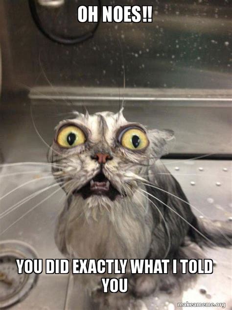Oh Noes You Did Exactly What I Told You Cat Bath Make A Meme