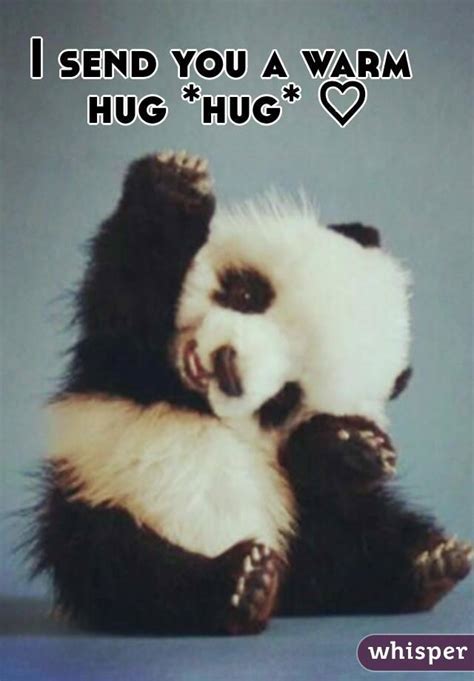 I Send You A Warm Hug Hug