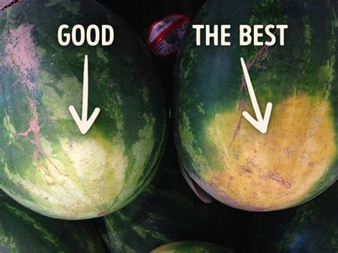 Picking The Best Watermelon Tips And Guide Guidescroll