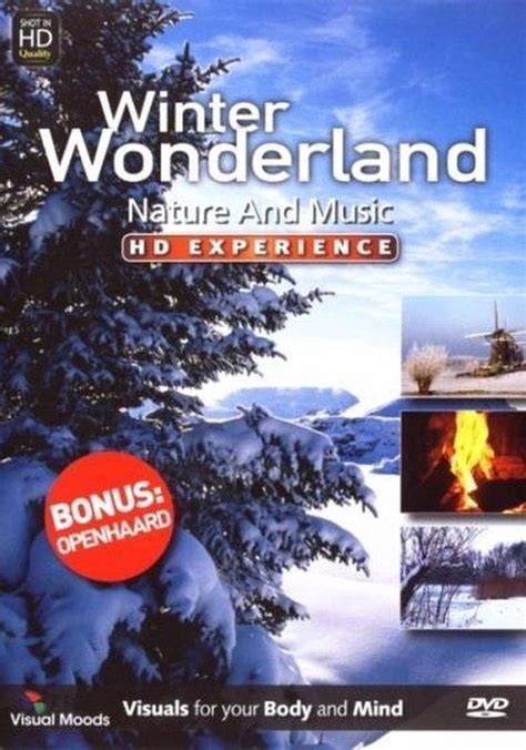 Winter Wonderland Hd Experience Dvd Dvds
