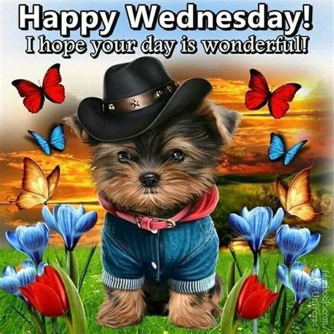 I Hope Your Day Is Wonderful Happy Wednesday Pictures Photos And