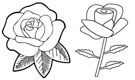 Kupulan gambar sketsa bunga yang mudah akan kamu temukan di sini. 26 Gambar Mewarnai Terbaru Untuk Anak TK, PAUD, SD (Tayo ...