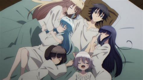 The Best Harem Animes That You Should Be Watching Right Now Daily Hawker