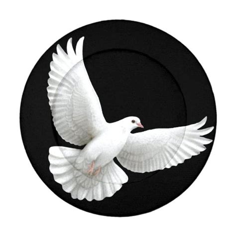 Flying White Peace Dove Button Covers