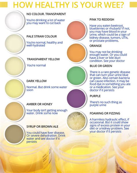 What Does Different Colors Of Pee Mean The Meaning Of Color