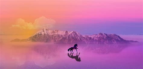 Wallpaper Horse Landscape Reflection Sunset Nature Mountains