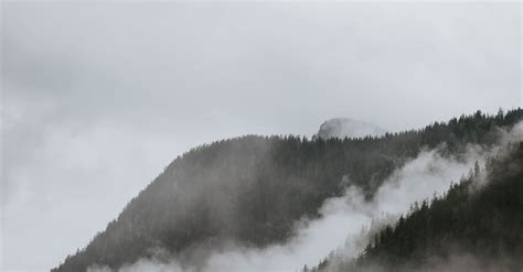 Mountain Surrounded By Trees And Fogs · Free Stock Photo