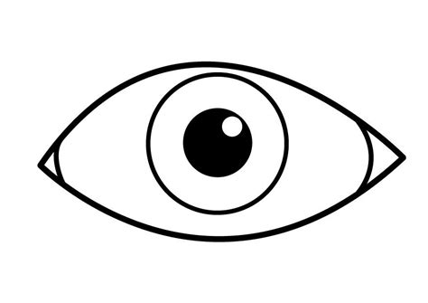 Use the word bank below to identify parts of the eye.the eye is the organ that collects images and sends them to the brain, so you can see. Coloriage oeil - img 26921