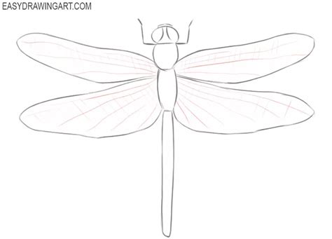 How To Draw A Dragonfly Easy Drawing Art