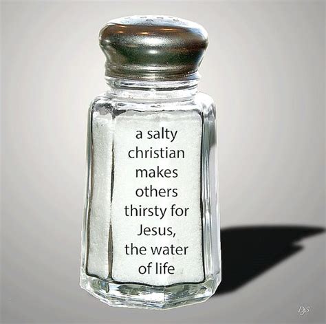 Are You A Salty Christian You Should Be Letterpile