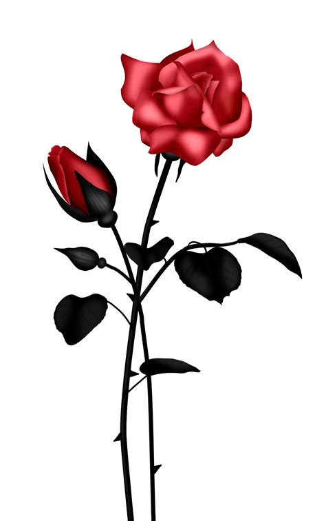 Rose Red Flower Clip Art Vector Online Royalty Free Images Clipart
