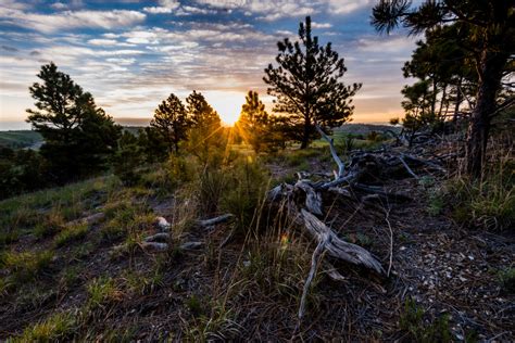 Pine ridge national recreation area provides 6,600 acres of ponderosa pines forests, trails and primitive camping. Preserving the Pine Ridge • Nebraskaland Magazine
