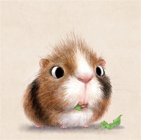 Overwhelmingly Cute Animal Illustrations By Sydney Hanson