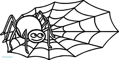 Spider Web Coloring Page At Getdrawings Free Download