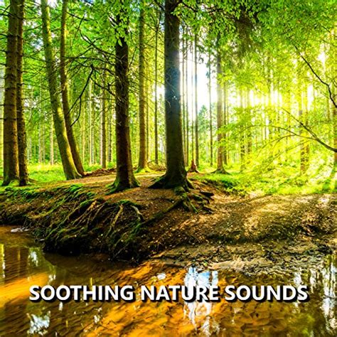 Soothing Nature Sounds Nature Sounds Digital Music