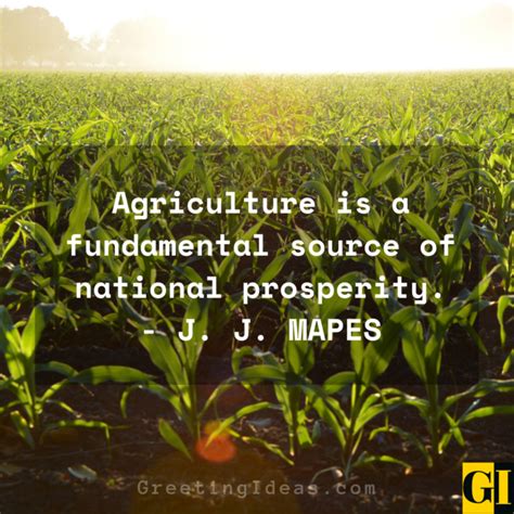 30 Best And Inspirational Agriculture Quotes And Sayings