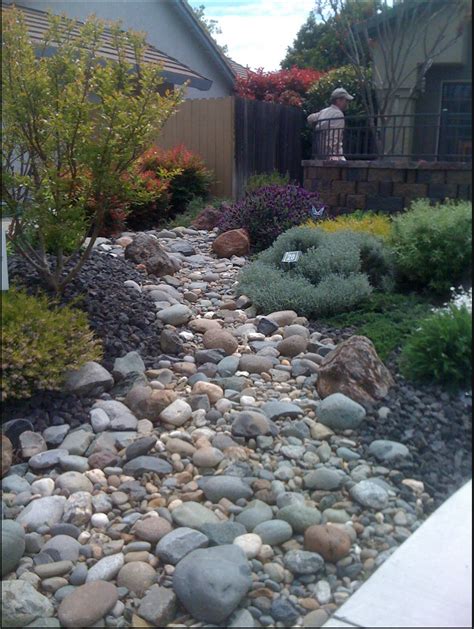 Dry Riverbed Landscape Rock Mix And Edge Plantings Dry Riverbed