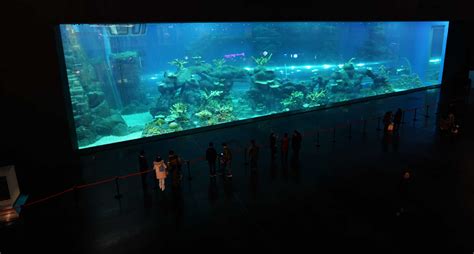 Cube Oceanarium Officially Open Advanced Aquarium Technologies