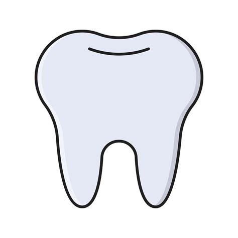 Teeth Vector Illustration On A Transparent Background Premium Quality