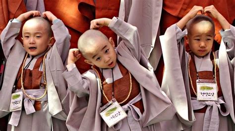 Another important element before taking ordination is what dharma tradition, what buddhist tradition, are you going to follow? Can one choose to become a monk (Buddhist) for a ...