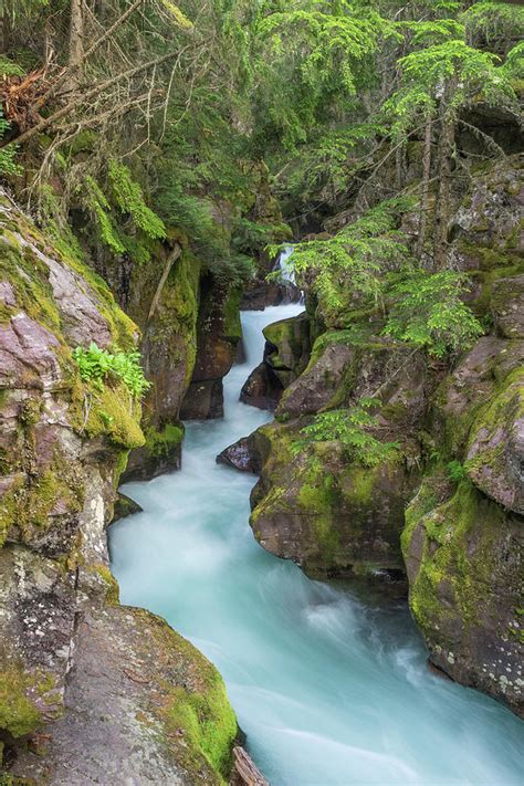 Avalanche Creek Glacier National Park Photograph By Howie Garber