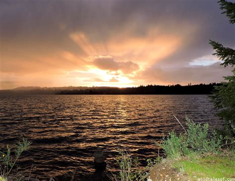 Maybe you would like to learn more about one of these? Ike Kinswa State Park in SW Washington State: Long Weekend ...