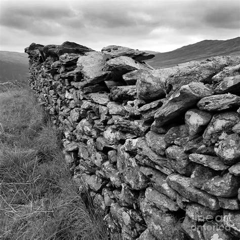 Dry Stone Walls Of Cumbria Photograph By Tibby Steedly Fine Art America