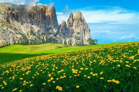 Alpe Di Siusi Natural Park With Wooden Lodges Dolomites Italy Stock