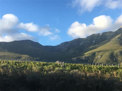 Misty Mountains Hermanus Updated 2024 Prices