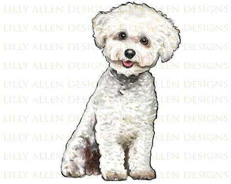 Bichons Frise Dog Illustrations Png Digital Downloaddog Etsy