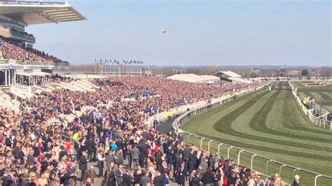 Grandstand And Paddock Enclosure Evening Racing Aintree Racecourse