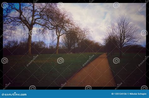 Lonely Path Stock Photo Image Of Lonely Park Path 135124156