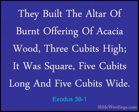 Exodus 38 Holy Bible English