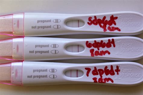 7 Days After Embryo Transfer Negative Pregnancy Test