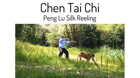 Chen Tai Chi Peng Lu Silk Reeling Youtube