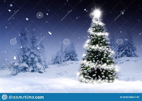 Christmas Tree In A Snowy Winter Forest Stock Photo Image Of Space