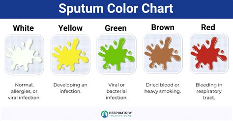 Sputum Definition Colors Causes And Conditions