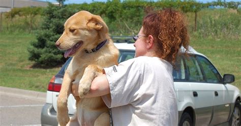 Red Lake Rosies Rescue June 30 Transport