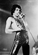 Rare Freddie Mercury Vocals Anchor Hypnotizing New Charity Single