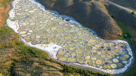 Canada Spotted Lake British Columbia Hd Travel Wallpapers Hd