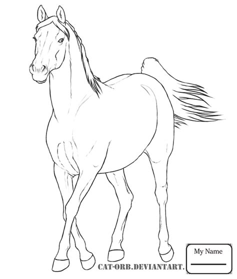 Appaloosa Horse Drawing Coloring Coloring Pages