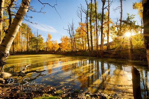 Wallpaper Sunlight Landscape Fall Leaves Lake Water Nature Red