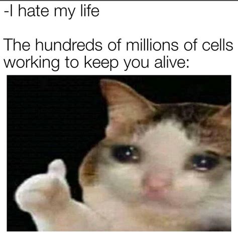 Liven Up Life With These Biology Memes Biology Memes