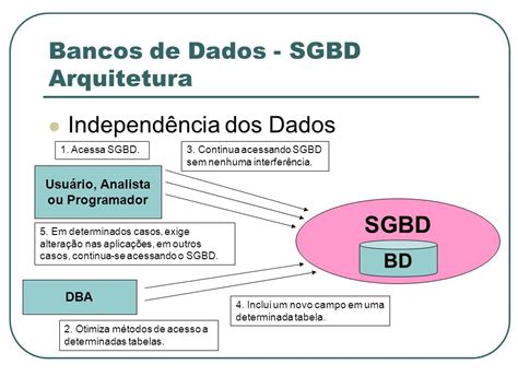 Banco De Dados Bd E Sistema De Gerenciamento De Banco De Dados Sgbd Fsi Blog