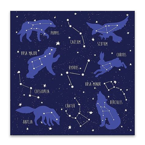 Lot26 Studio Constellation Animals 18 Inch Square Wrapped Canvas Bed