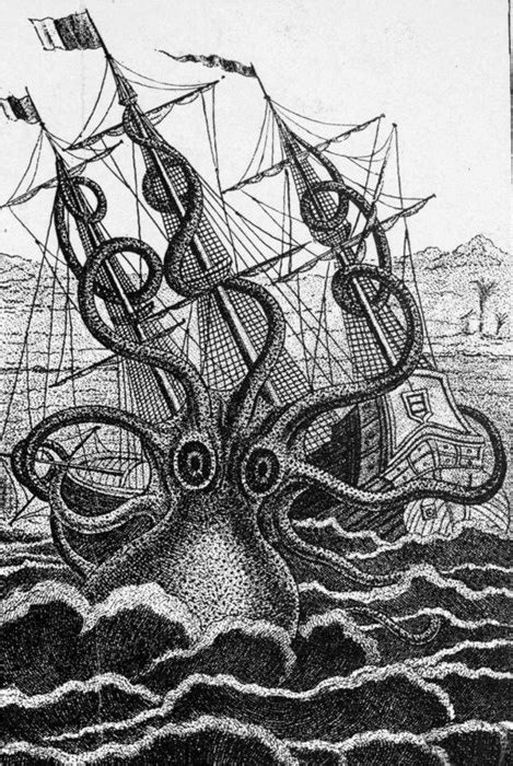 Er hat einen mund geschlossen, 5 verschieben tentakeln mit jeweils 4 gelenke und ein schiff in seinen schleimigen kupplungen und folien öffnen. Christoph Roos: Kraken